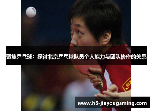 聚焦乒乓球：探讨北京乒乓球队员个人能力与团队协作的关系